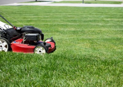 Mowing the lawn