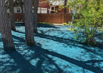 Backyard-Application